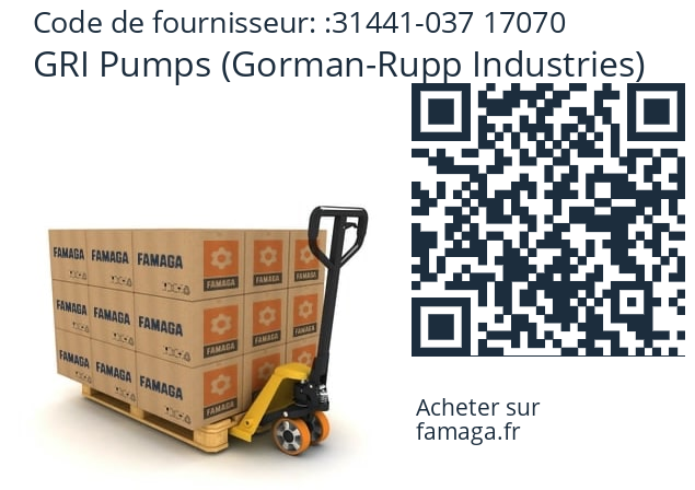   GRI Pumps (Gorman-Rupp Industries) 31441-037 17070