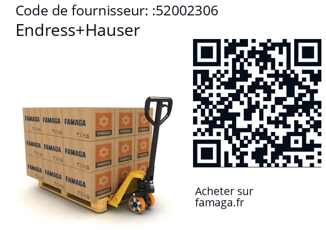   Endress+Hauser 52002306