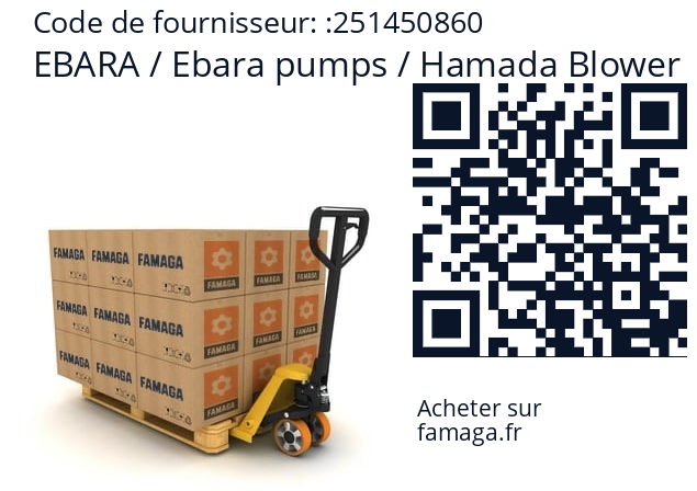   EBARA / Ebara pumps / Hamada Blower 251450860