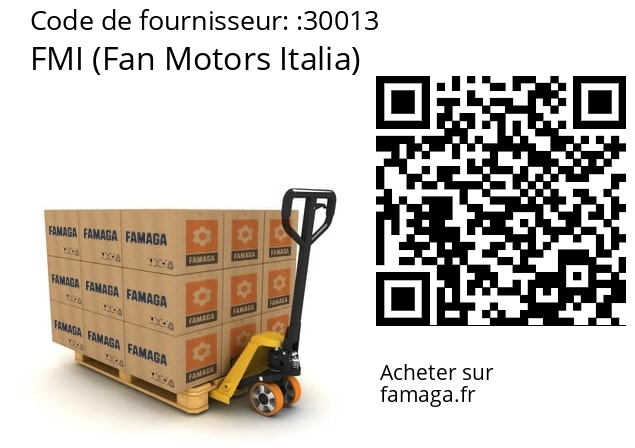   FMI (Fan Motors Italia) 30013