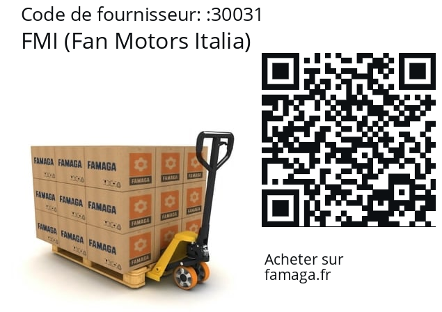   FMI (Fan Motors Italia) 30031