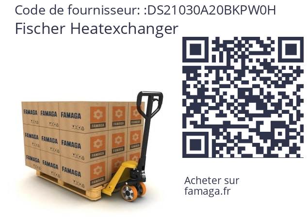   Fischer Heatexchanger DS21030A20BKPW0H