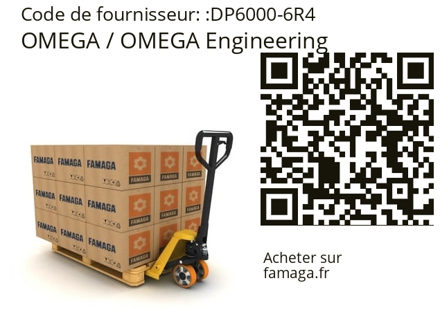   OMEGA / OMEGA Engineering DP6000-6R4