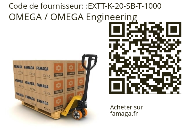   OMEGA / OMEGA Engineering EXTT-K-20-SB-T-1000