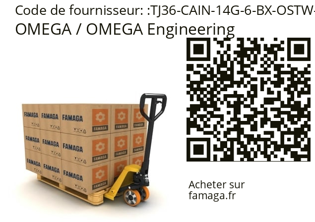   OMEGA / OMEGA Engineering TJ36-CAIN-14G-6-BX-OSTW-M