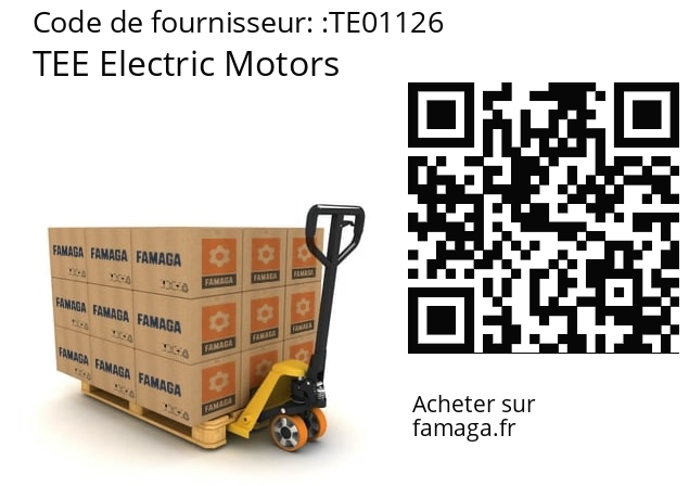   TEE Electric Motors TE01126